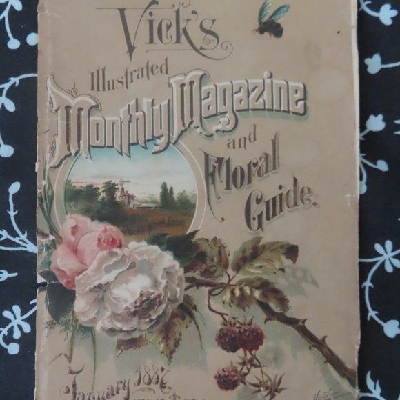 Vick's Illustrated Monthly Magazine  Lot x 33 1800s - Picture 12 of 12